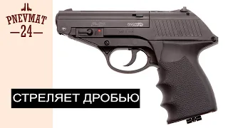 Gamo P-23 Combat