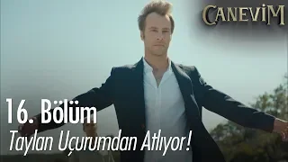 Taylan, Ceylan için ölümü göze alıyor - Canevim 16. Bölüm