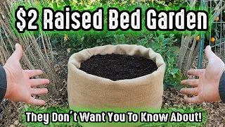 They Don't Want You To Know About This $2.00 Raised Garden Bed From The Big Box Store!