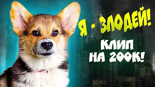 Корги Кекс - Я ЗЛОДЕЙ!! Клип на 200К!! (Official music video)