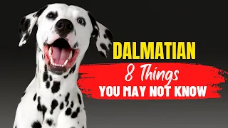 7 Things You Didn't Know About Dalmatians Before Adopting One | Dogs Genesis | @DogsGenesis