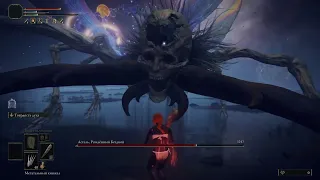 Astel, Naturalborn of the Void No Hit Solo Level 1 Elden Ring Астель, Рождённый Бездной без урона