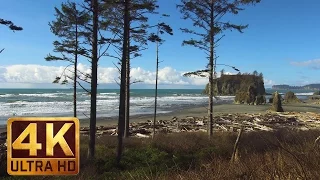 4K Winter Beach Scenery with Relaxing Nature Sounds | Ruby Beach in Winter/Trailer