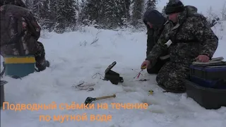 Тайга, микро речка, яма!!! И пол мешка рыбы🐬. Подводные съёмки. Мохтик (Елец) Сорога. Нож якутский.