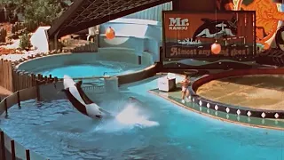 1977 -  Marineland and Niagara Falls