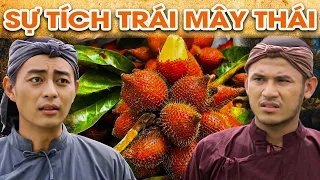 SỰ TÍCH TRÁI MÂY THÁI | SỰ TÍCH VIỆT NAM MỚI NHẤT 2022 | PHIM SỰ TÍCH HAY NHẤT 2022 | GHIỀN CỔ TÍCH