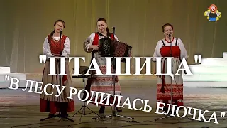 "В ЛЕСУ РОДИЛАСЬ ЕЛОЧКА", поёт ансамбль "ПТАШИЦА"  в гостях у "Митрофановны". (новогодние песни)