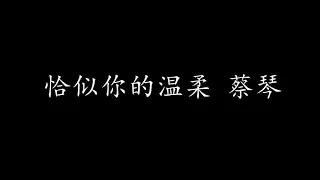 恰似你的温柔 蔡琴 (歌词版)