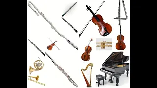 The world of the musical instrument - Part 1( remake edition )