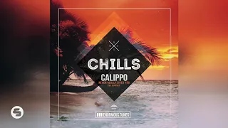 Calippo - Never Really Liked You (Zinner & Orffee Remix)
