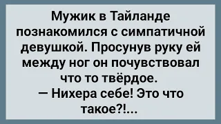 Мужик в Тайланде и Девушка с "Хозяйством"! Сборник Свежих Анекдотов! Юмор!