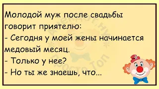 🔥Стюардесса Заходит В Кабину Самолёта...Большой Сборник Весёлых Анекдотов,Для Супер Настроения!