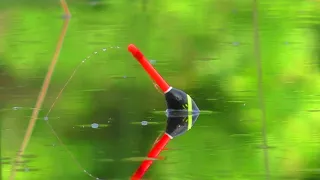 Рибалка.🐟 КЛЕВ, як на "ЧЕРНИХ КАМНЯХ"!!!  Закинув-тягни🎣 Рибалка на поплавок. Ловля карася.