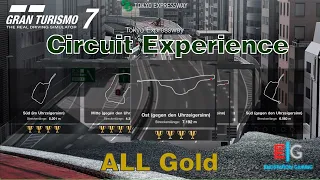 Gran Turismo 7 - Circuit Experience -  Tokyo Expressway - East Inner Loop - All Gold