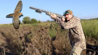 LIMITED OUT on Opening Day | Public Land Dove Hunting