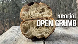 OPEN CRUMB sourdough bread -  Fast Forward (Bread) TUTORIAL. | by JoyRideCoffee