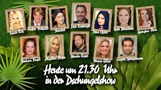 Die große BILD-Dschungelshow im Live-Stream - 30.01.2016