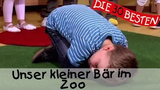 Unser kleiner Bär im Zoo - Singen, Tanzen und Bewegen || Kinderlieder