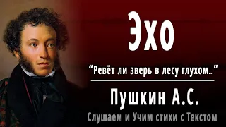 А.С. Пушкин "Эхо" (Ревёт ли зверь в лесу глухом) - Слушать и Учить аудио стихи