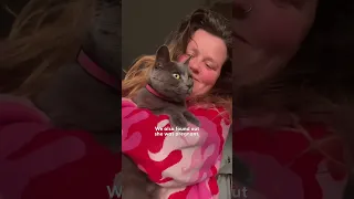 Cat Brings Her New Mom Flowers Every Day | The Dodo