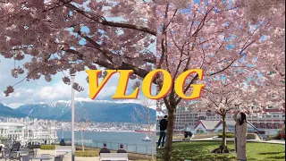 Canada Vlog🇨🇦: cherry blossom viewing, visiting TWICE-Likey filming location & unbox packages 🌸🎞