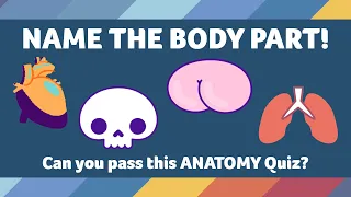 HUMAN BODY QUIZ! | How much do you know about ANATOMY? | Anatomy Trivia with Answers