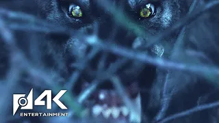 Van Helsing (2004): Velkan and Anna against Vicious Werewolf | CLIP