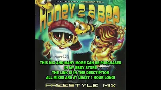 Dj Destiny - Honey 2 A Bee (Latin Freestyle Megamix!)