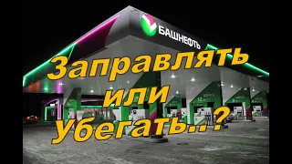 Skoda: Бензин Башнефть Против Всех. Тесть Топлива (2023)