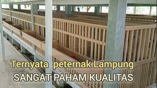 Pemasangan kandang SNI di Lampung || solusi untuk peternak || Hitamputih Farm