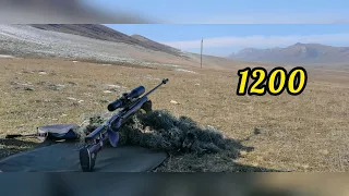 Мировой рекорд. Мосина на 1200 метров. World record. Mosin nagant 1200 meters.