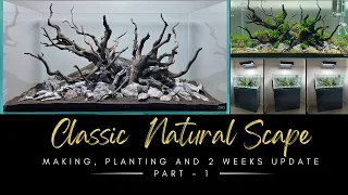 Classic Natural Scape - ADA 90P Tank - Making, Discussion on hardscape, Planting & 2 Weeks Update