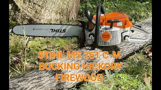 Stihl MS 261 C-M bucking hickory tree.