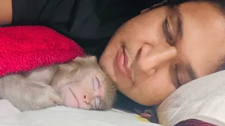 Mai Aur mera Monkey 😍 // Sumit Cool Dubey