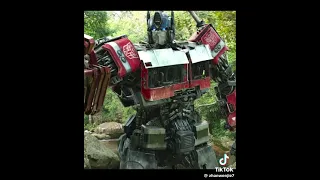 Transformers rise of  The Beast