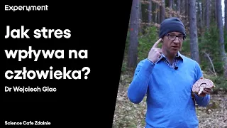 Dr Wojciech Glac. Jak stres wpływa na człowieka? | SCIENCE CAFE ZDALNIE #3