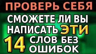 ПРОВЕРЬТЕ СЕБЯ | Тест по русскому языку | Тесты по грамматике и орфографии | 14 вопросов