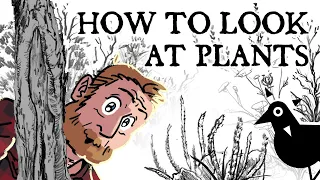 How To Look At Plants