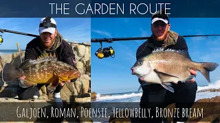 The Garden Route II Fishing for new Species