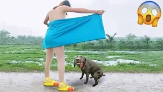 Random Funny Videos |Try Not To Laugh Compilation | Cute People And Animals Doing Funny Things P#6