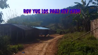 Rov yug dua los pauj kev chim 27-2-2023