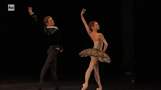 Tatiana Melnik e Daniil Simkin nel "Don Chisciotte" - Viva la danza 29/04/2024