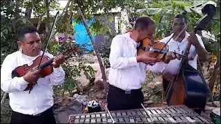 Conjunto América a puro violin qué bonito se escucha esa melodia COPITAS DE MESCAL