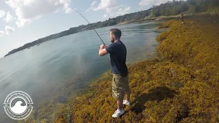 Back on the Bass | Fishing Jersey Channel Islands | test