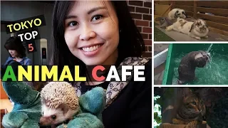 TOKYO TOP 5 Animal Cafe