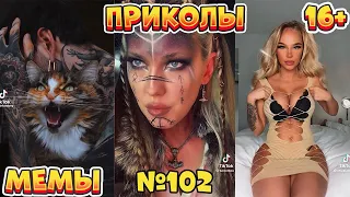 19 МИНУТ СМЕХА ДО СЛЁЗ | ЛУЧШИЕ ПРИКОЛЫ | ВЗРОСЛЫЙ ЮМОР l TikTok УГАР l #102