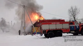 В Ветке на пожаре погиб человек