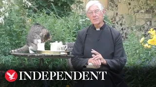 Canterbury Cathedral cat snatches vicar's milk during morning prayer