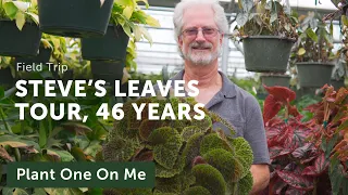 46 Years of HOUSEPLANTS: Evolving the Business with Steve's Leaves — Ep. 286