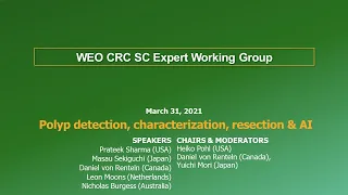 2021: WEO CRC SC Expert Working Group Webinar: Polyp detection, characterization, resection and AI